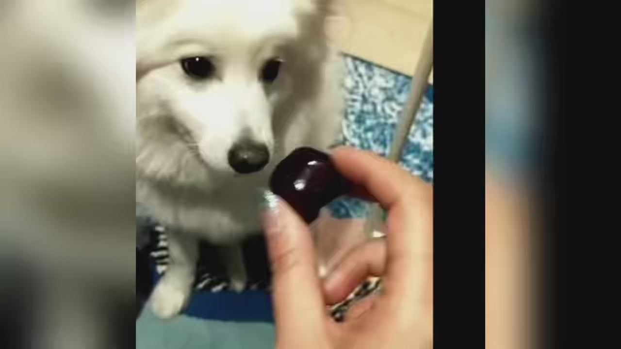 Load video: Handcrafting process of custom 3D pet relief pendant