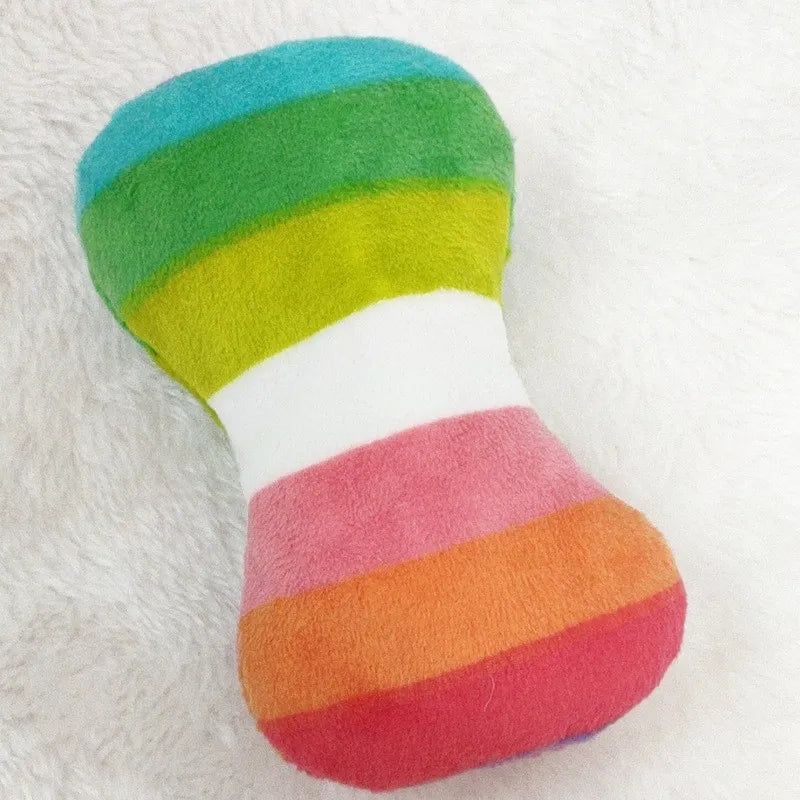 Close-up of rainbow-colored squeaky bone toy for dogs
