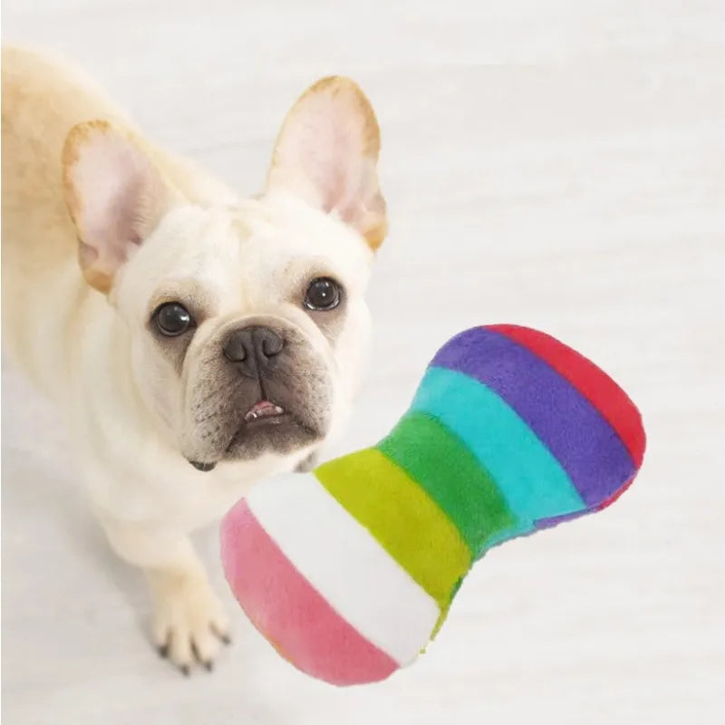 Small dog playing with rainbow squeaky bone toy
