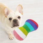 Small dog playing with rainbow squeaky bone toy
