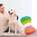 Medium dog holding rainbow squeaky bone toy
