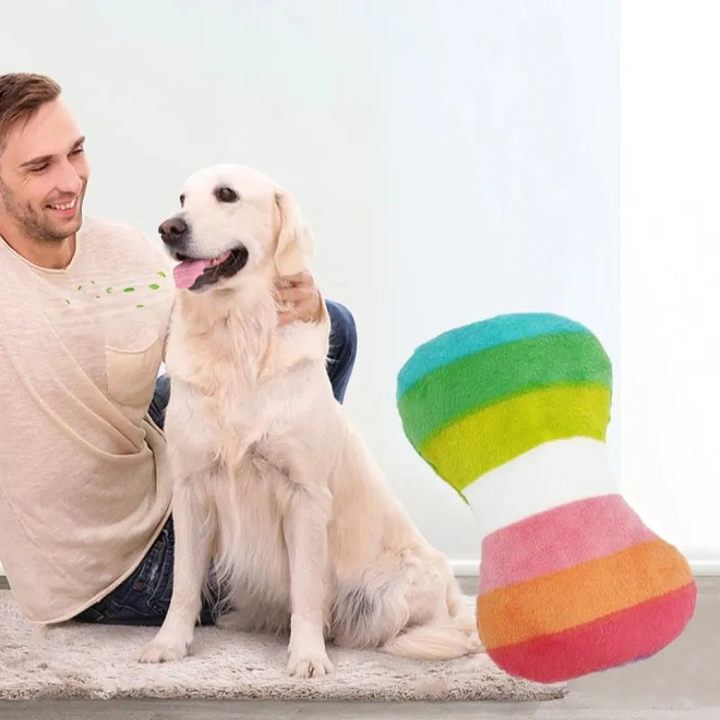 Medium dog holding rainbow squeaky bone toy
