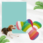 Colorful rainbow bone toy beside green plant decor

