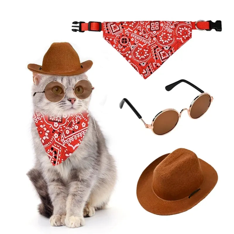 Pet cowboy party set including hat, red bandana, and sunglasses flat lay